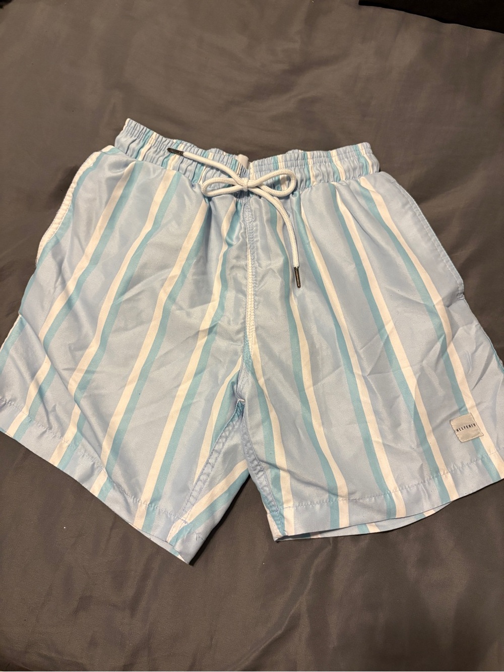 Men's Light Blue Striped Swim Shorts